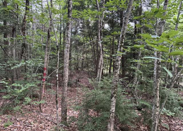 Property at 1-70 Route 197, Litchfield, ME 04350