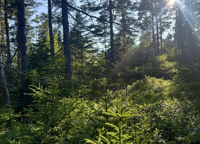 Property at Lot #1 Pequot Rd, Vinalhaven, ME 04863