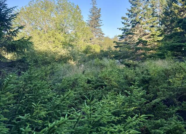 Property at Lot #2 Pequot Rd, Vinalhaven, ME 04863