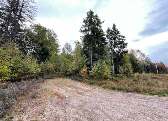 Property at Lot #17-34 Dolly Head Estates Rd, Steuben, ME 04680