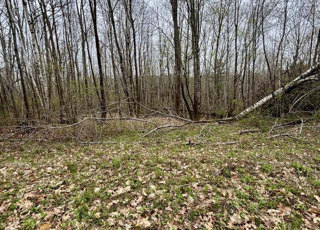 Property at 140 Gray Meadow Rd, Orland, ME 04472