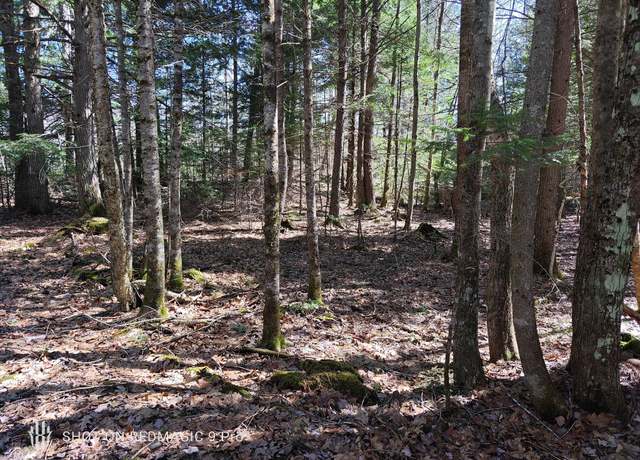 Property at R1 38.1 Parsons Rd, Paris, ME 04281