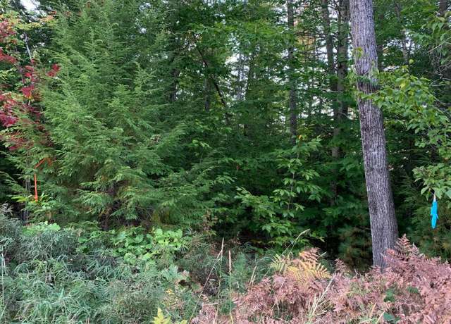 Property at 0 Chaplin Mills Rd, Bridgton, ME 04009