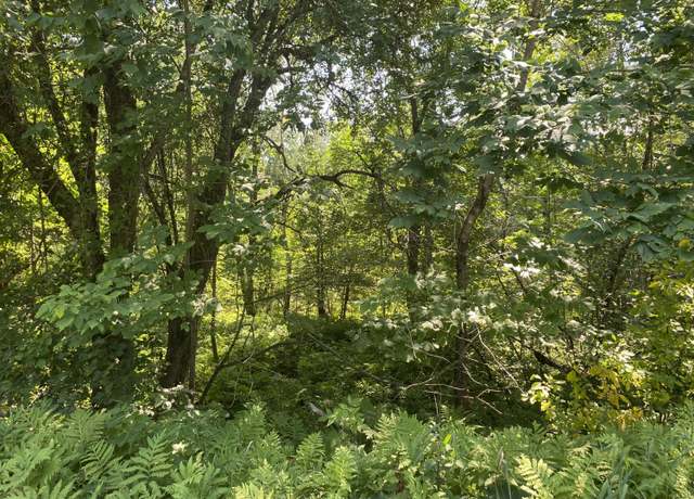 Property at Map1Lot25 Taylor Rd, Athens, ME 04912