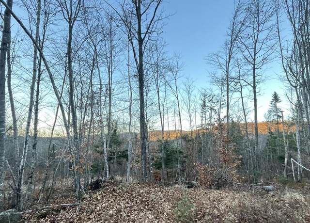 Property at 0 Curtis Hill Hts, Woodstock, ME 04219