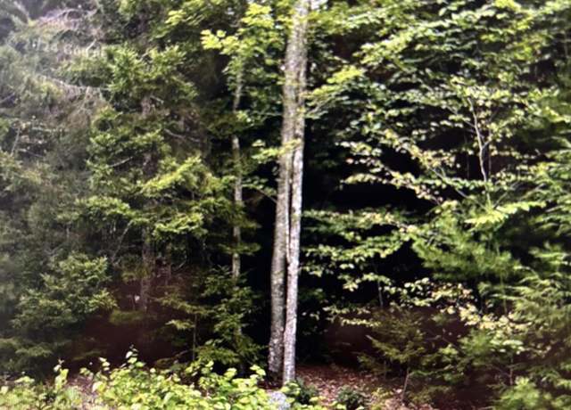 Property at 163 Sandy Acres Dr, Sullivan, ME 04664
