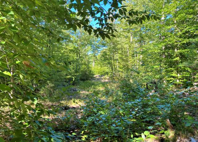 Property at 00 Libby, Lot #6 Rd, Newfield, ME 04056