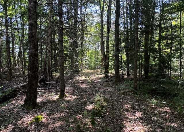 Property at Lot 30-A Hollin Waite Hill Rd, Anson, ME 04911