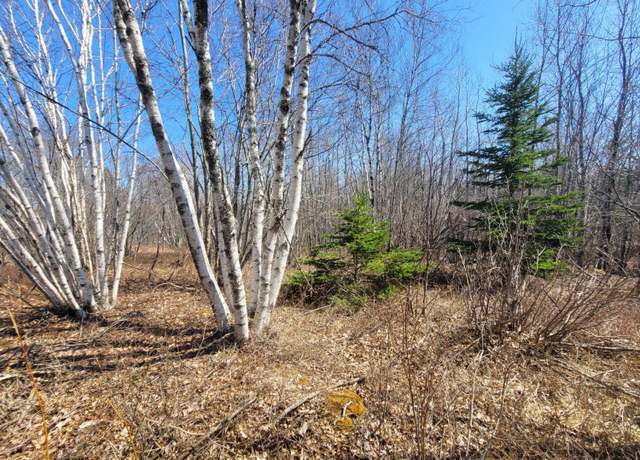 Property at 29 Reef Point Rd, Addison, ME 04606