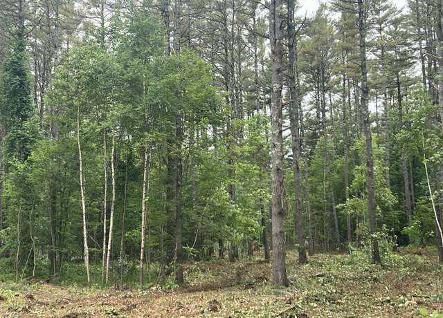 Property at 0 Mayville Rd, Bethel, ME 04217