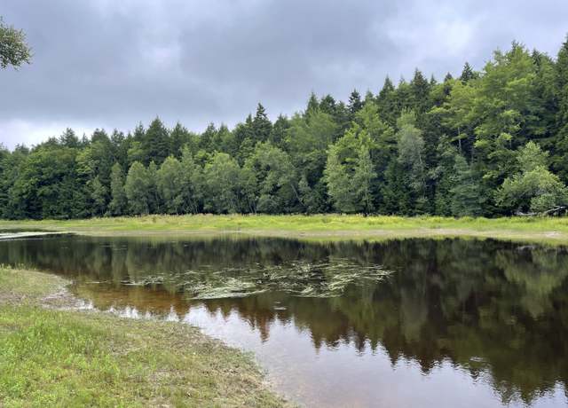 Property at R08-001 West Branch Rd, Mariaville, ME 04605