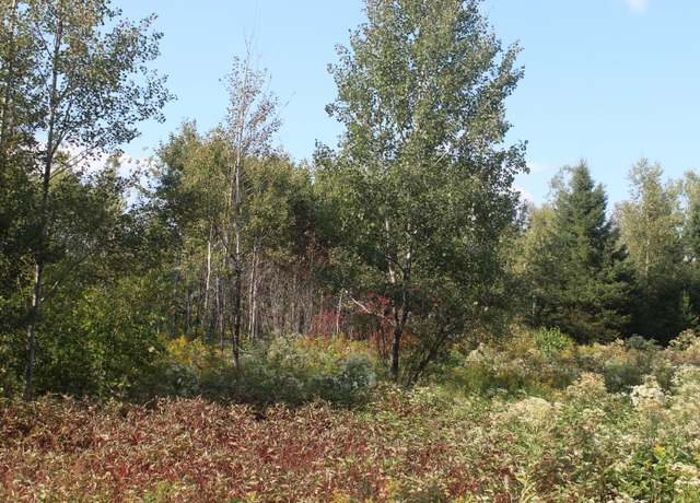 Property at lot 4 Woodrbridge Corner Rds, Sherman, ME 04776