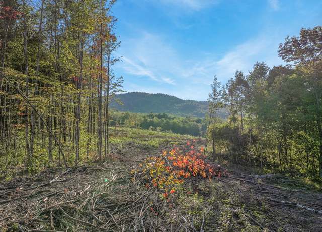 Property at Lot # 2 Eaton Hill Rd, Rumford, ME 04276