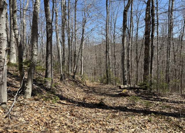 Property at R17 L17 Weld Rd, Phillips, ME 04966