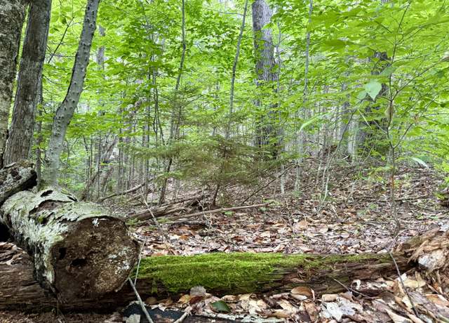 Property at R17 L17 Weld Rd, Phillips, ME 04966