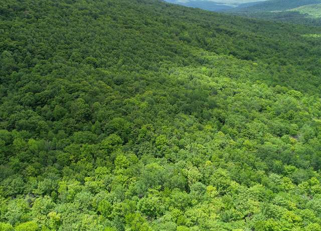 Property at Map 402 Lot 3, Rumford, ME 04276
