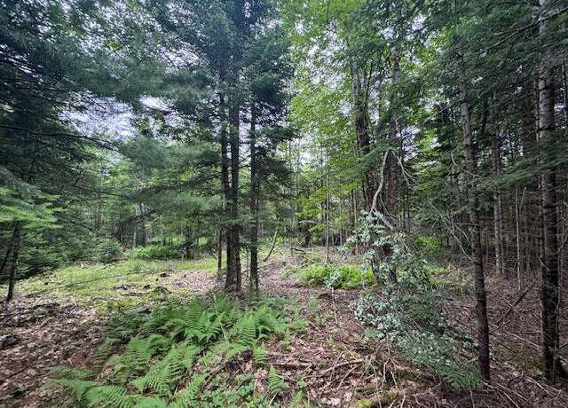 Property at M2 L21-2 South Ridge Rd, Palmyra, ME 04965