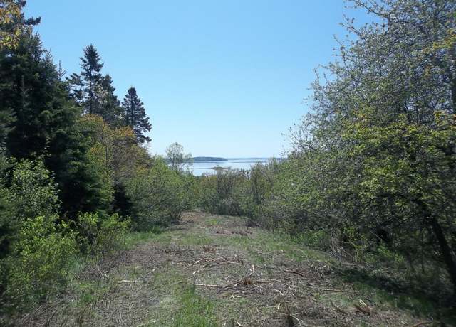 Property at M2 L13-1 Lincoln Cove Rd, Perry, ME 04667