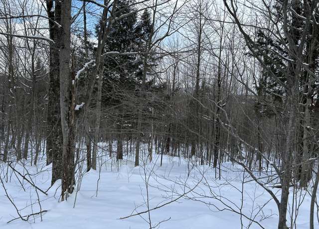 Property at MR14L14 Poland Hill Rd, Livermore, ME 04253