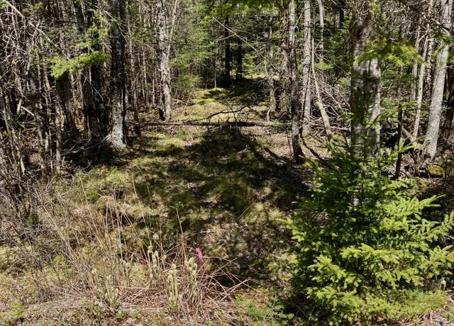Property at Lot 94 Yoho Head Rd, Machiasport, ME 04655
