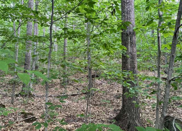 Property at Lot 15 Tufts Pond Rd, Kingfield, ME 04947