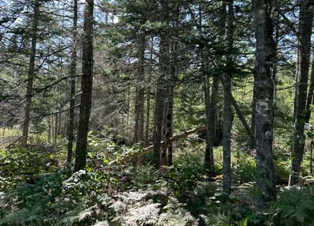 Property at RT 200 Eastbrook Rd, Eastbrook, ME 04634