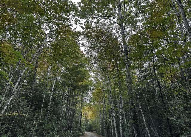 Property at Lot 11-1 Carry Ridge Rd, Northfield, ME 04686