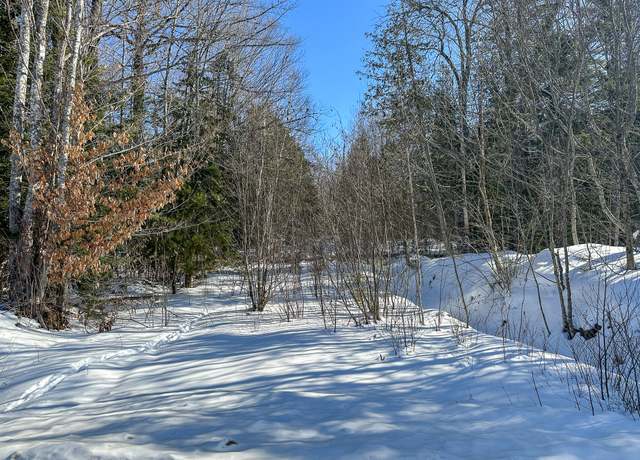 Property at M5L29 Long Ridge Rd, Burlington, ME 04417