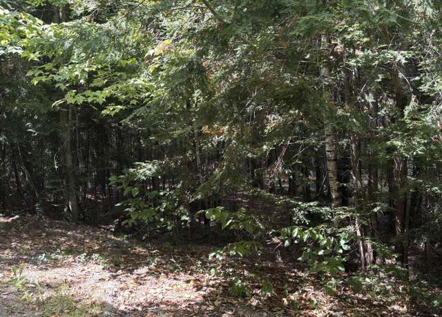 Property at Lot 38-6 Beechwood Ln, Bridgton, ME 04009