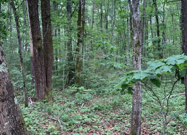 Property at TBD Alewive Rd, Kennebunk, ME 04043