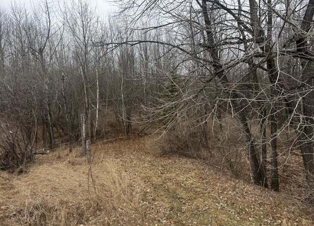Property at M4 L14 Snakeroot Rd, Pittsfield, ME 04967