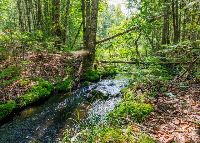 Property at lot 125 US Rt 1, Milbridge, ME 04658