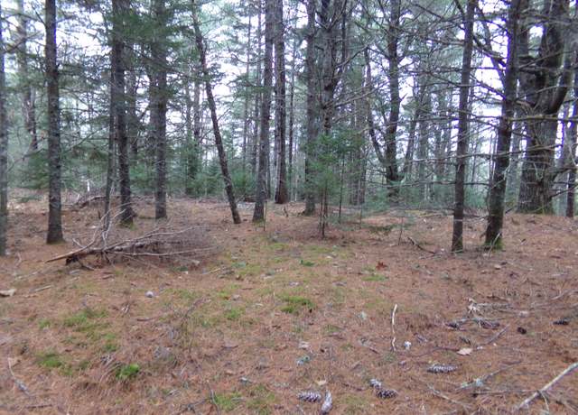 Property at Lot 3-E Rogers Point Rd, Steuben, ME 04680