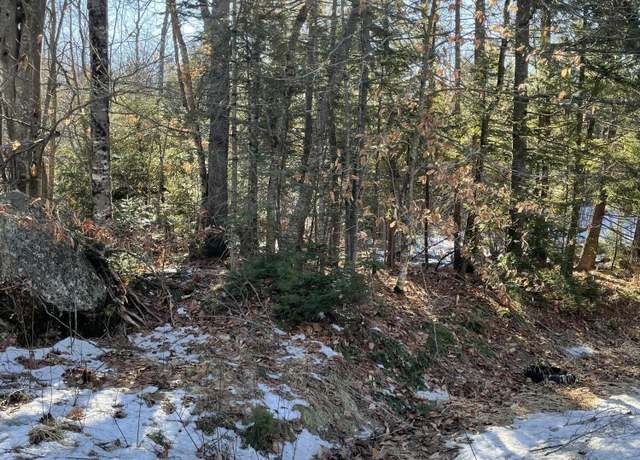 Property at MapR8Lot53 Buckfield Rd, Paris, ME 04281