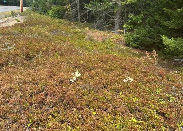 Property at 0 Route 1- 0 Gouldsboro Point Rd, Gouldsboro, ME 04607