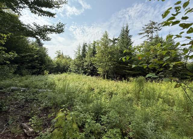 Property at 49 Black Bear Ln, Greenville, ME 04441