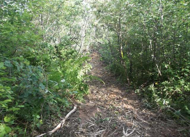 Property at M2 L15-6 Cannon Hill Rd, Perry, ME 04667