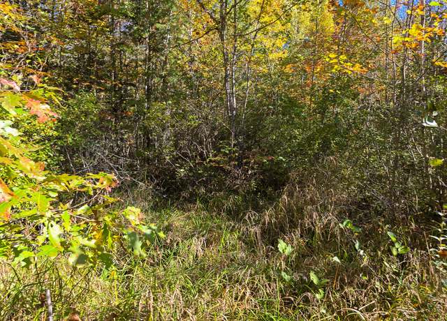 Property at M3L25 Off Rt 2, Passadumkeag, ME 04475