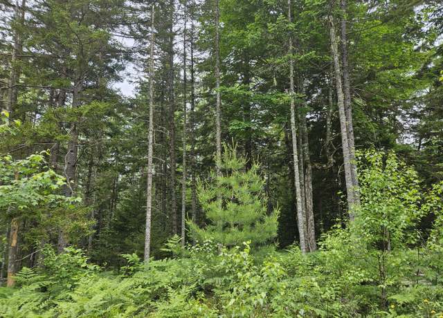 Property at M14L33A Off Smithville Rd, Steuben, ME 04680