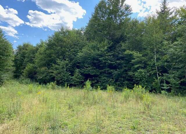 Property at WA4 Partridge Knl, Cathance Twp, ME 04628
