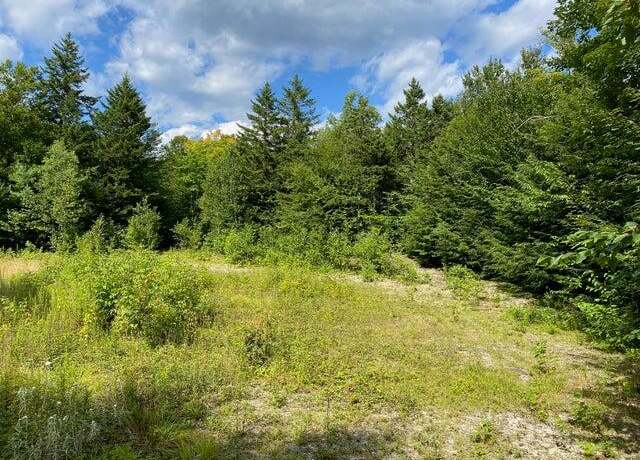 Property at WA2 Partridge Knl, Cathance Twp, ME 04628