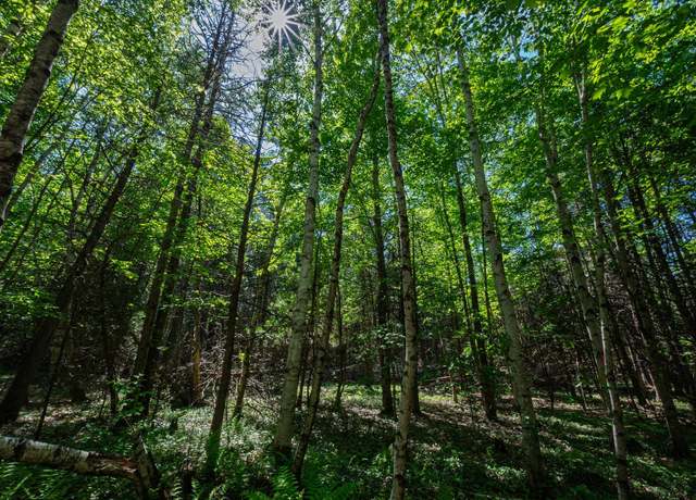 Property at Newport Lot 8 Murray Rd, Newport, ME 04953