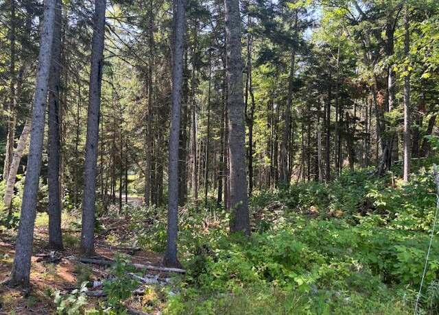 Property at Lot 16 Rabbit Hollow Rd, Lang Twp, ME 04970