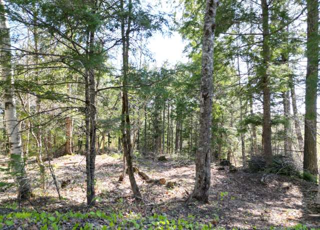 Property at TBD Bottle Lake Rd, Lakeville, ME 04487