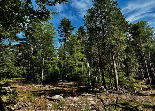 Property at 0 Flye Pt Lot 1, Brooklin, ME 04616