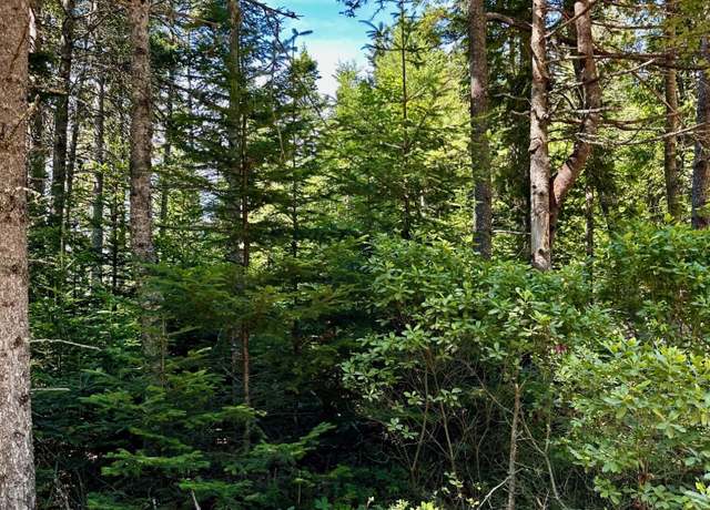 Property at 0 Flye Pt Lot 2, Brooklin, ME 04614