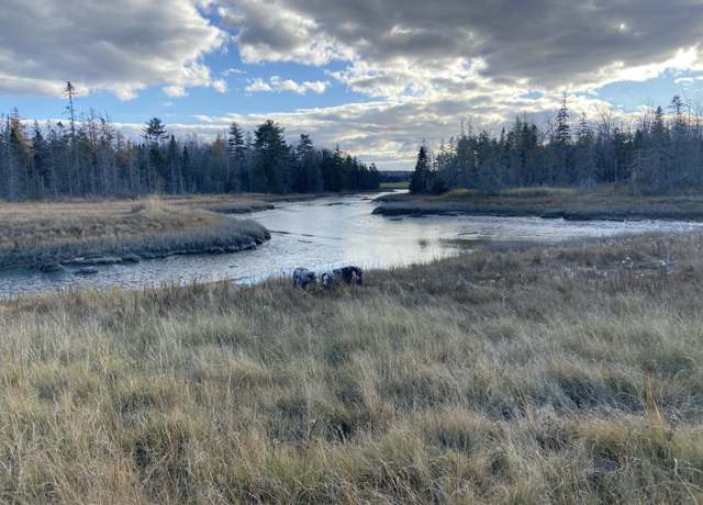 Property at 87 Woodcock Ln, Lamoine, ME 04605
