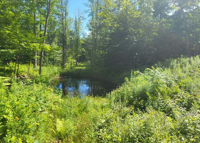 Property at Lot39 Tripptown Rd, Hiram, ME 04041