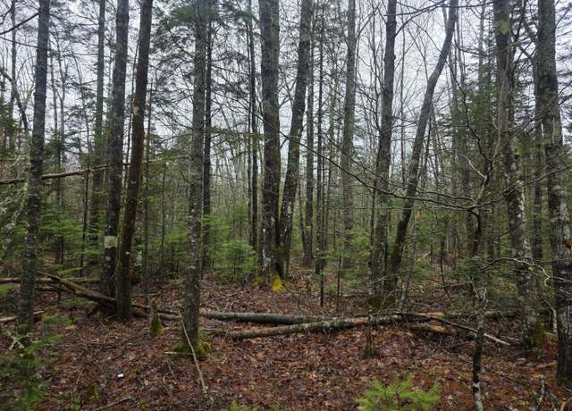 Property at 00 Mount Ephraim Rd, Searsport, ME 04974