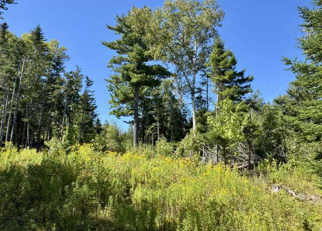 Property at Lot 13 Red Rock Ests, Pembroke, ME 04666